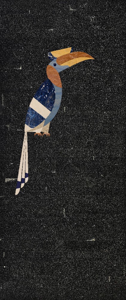 1-犀鸟.jpg