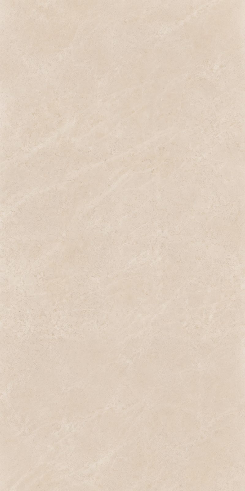 11-白玉兰.jpg